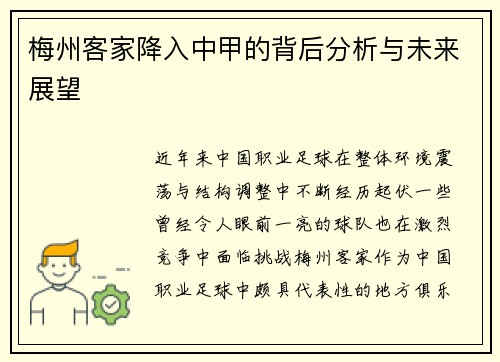 梅州客家降入中甲的背后分析与未来展望